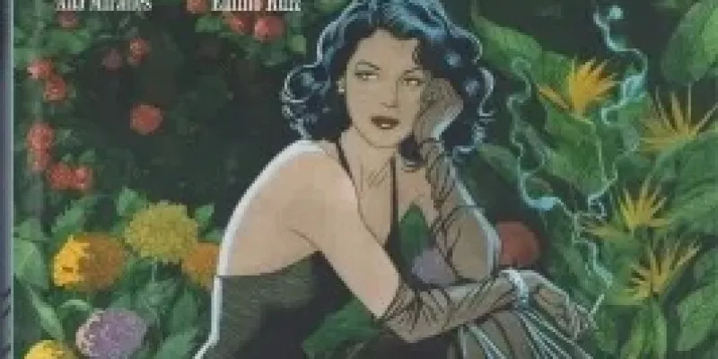 Ava 爱娃·加德纳传记 全1册漫画 百度网盘下载