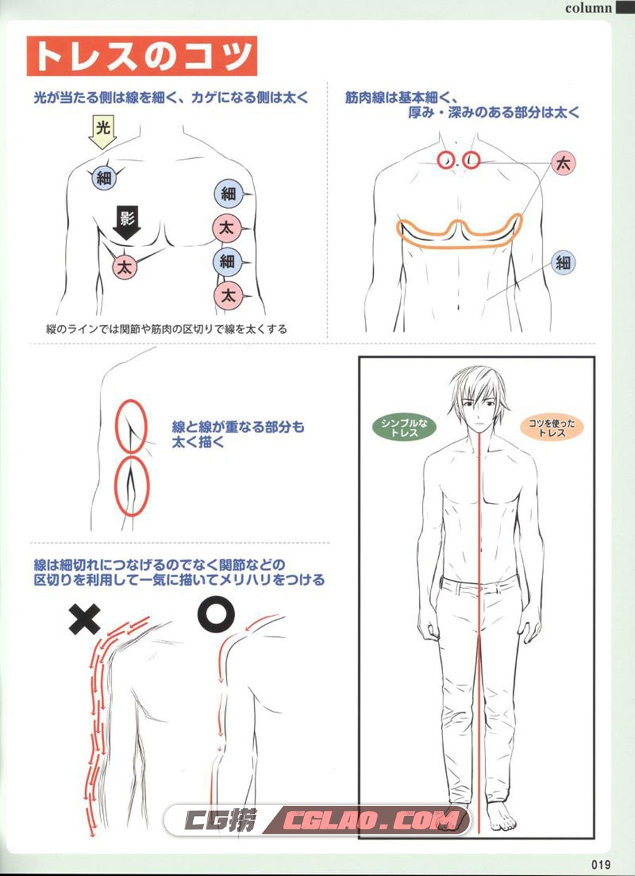 男性肌肉的画法 教程PDF格式下载 百度网盘,_2016_imgs_0020.jpg