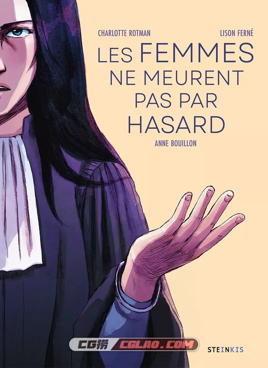 Les Femmes ne meurent pas par hasard 女性之死并非偶然 全1册下载,001 副本.jpg